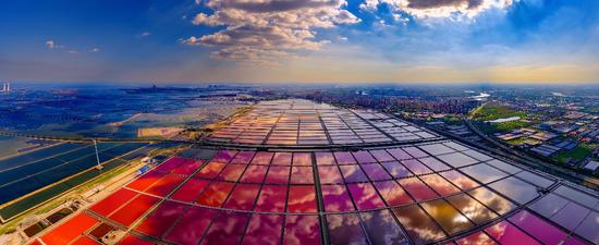 图为天津长芦汉沽盐场风景区(天津长芦汉沽盐场供图) 图为天津长芦汉沽盐场风景区(天津长芦汉沽盐场供图)