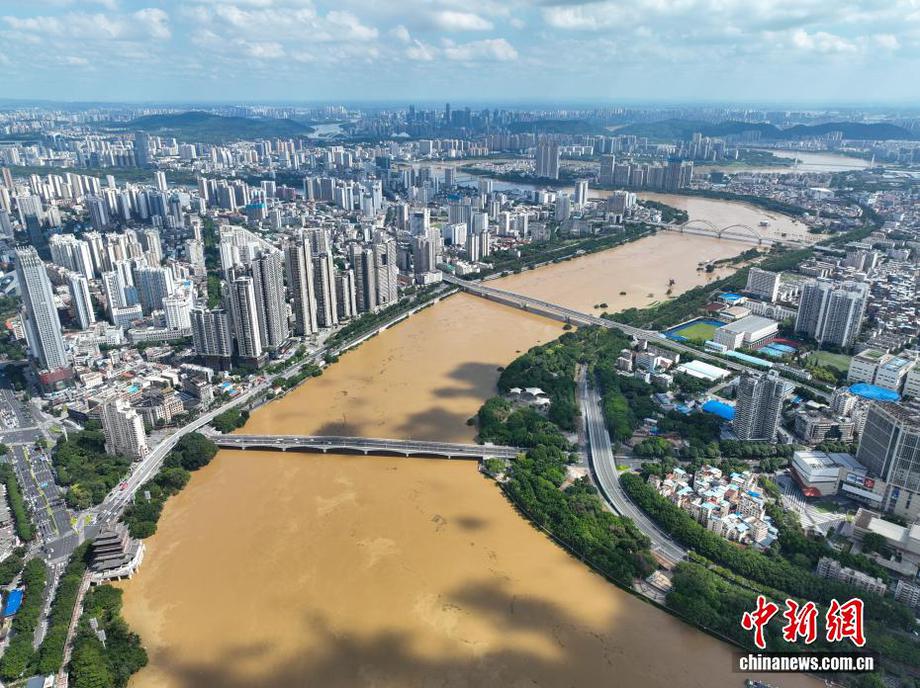 郁江2025年首场编号洪水影响广西南宁