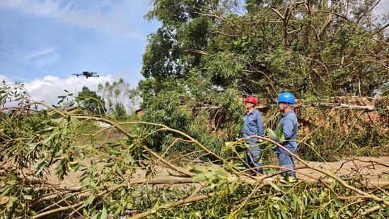 在广东省湛江市廉江市横山镇,南方电网贵州凯里供电局抢修人员使用无人机对10千伏九洲江线开展勘灾。蔡兴文 摄 在广东省湛江市廉江市横山镇,南方电网贵州凯里供电局抢修人员使用无人机对10千伏九洲江线开展勘灾。蔡兴文 摄
