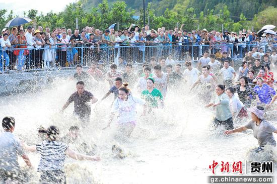 参赛选手抓鸭子。 吴麟钦 摄