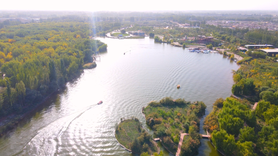 城中胡杨生态园