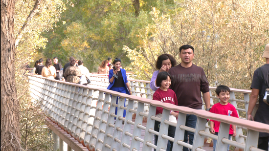 步行栈道上游客漫步赏景