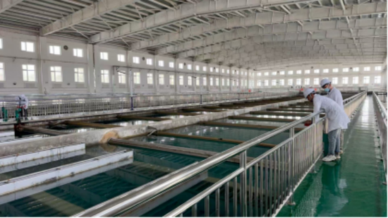 自来水公司工作人员走到水池边，俯身查看水池内水位。