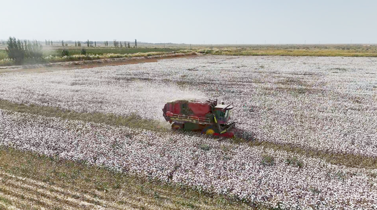 24676ede84d8af5db681ad2a25aaa6f2