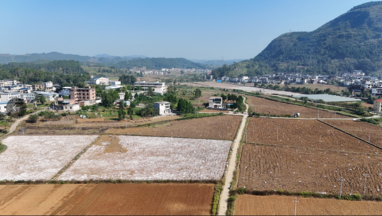 岑巩县水尾镇羊肚菌种植基地。陈昆 摄 岑巩县水尾镇羊肚菌种植基地。陈昆 摄