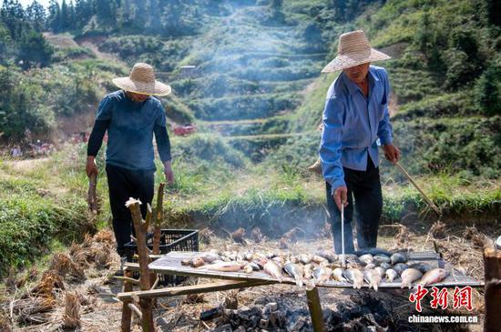 图为侗族同胞在从江县高增乡建华村烧烤稻田鱼。吴德军 摄 图为侗族同胞在从江县高增乡建华村烧烤稻田鱼。吴德军 摄