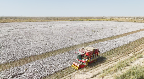 53659a5a6b4cac3809fc04a0a57c4c54