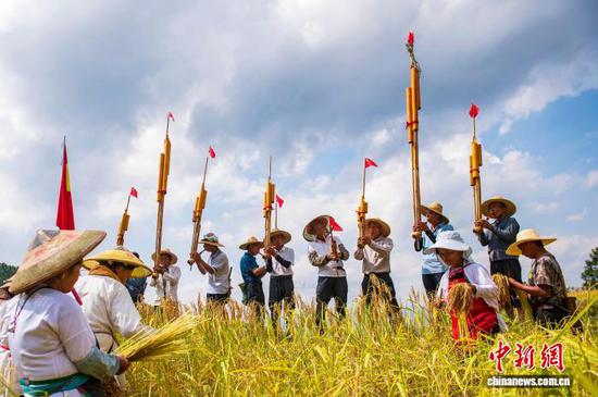 图为侗族同胞在从江县高增乡建华村的稻田边吹奏芦笙。吴德军 摄 图为侗族同胞在从江县高增乡建华村的稻田边吹奏芦笙。吴德军 摄