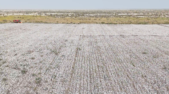 7bf88e0c5ab22b7dcddfefd83e965b4b