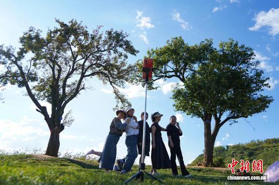 图为10月11日，游客在威宁草海国家级自然保护区梨花树下拍照。赵庆能 摄