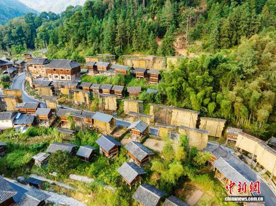 图为在占里村拍摄的“晒秋”禾晾架。(无人机照片)吴德军 摄
