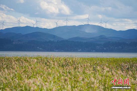 图为10月11日，威宁草海国家级自然保护区秋日景色美不胜收。赵庆能 摄