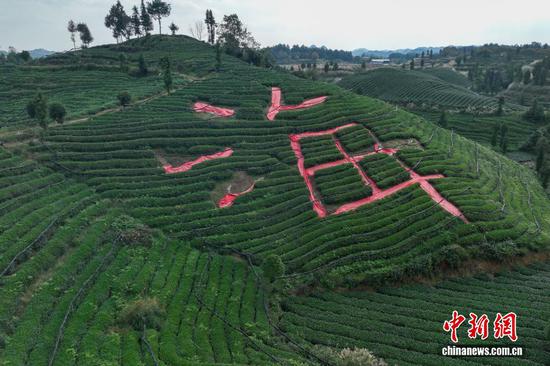 10月12日，航拍贵州省遵义市凤冈县何坝街道的“茶海”秋意盎然、美不胜收。