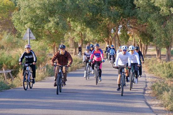 b25db353139dfa6347109bf529cea9c7