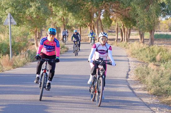 3ddfe75bb17733295b3aa5ff0512264e