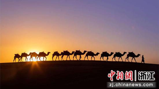 驼队移动如流动剪影 作者供图