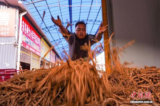 10月14日，在威宁自治县薯城中药材交易市场，收购商规整刚收购的党参。赵庆能 摄