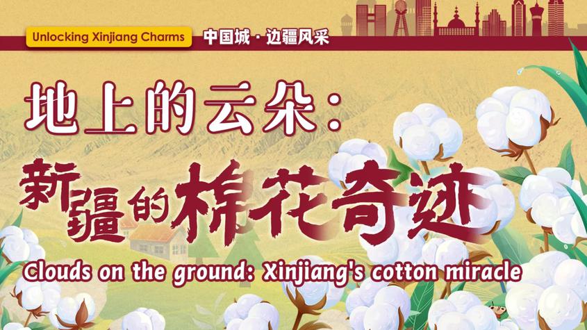 中国城·边疆风采丨地上的云朵：新疆的棉花奇迹