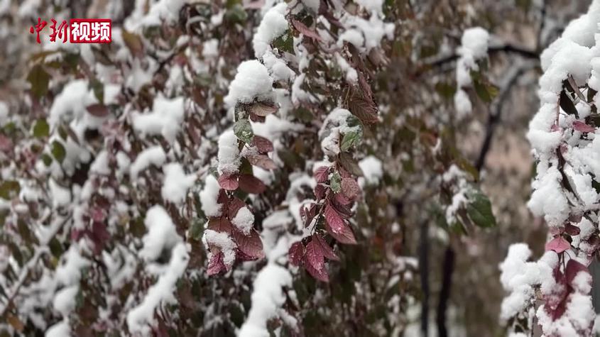 乌鲁木齐迎降雪