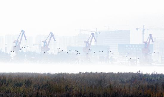 作品《码头晨韵》刘建军