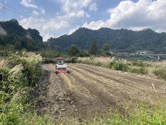 图为直播机正在长滩大坝种植示范区工作 图为直播机正在长滩大坝种植示范区工作