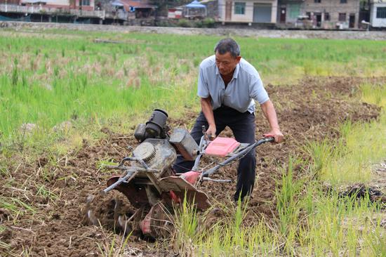麻兔村农户正在用划土机翻土 麻兔村农户正在用划土机翻土