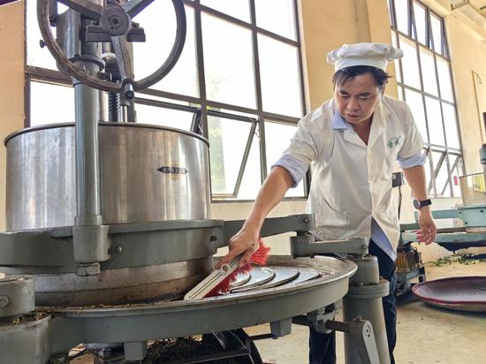 制茶工人正在制茶