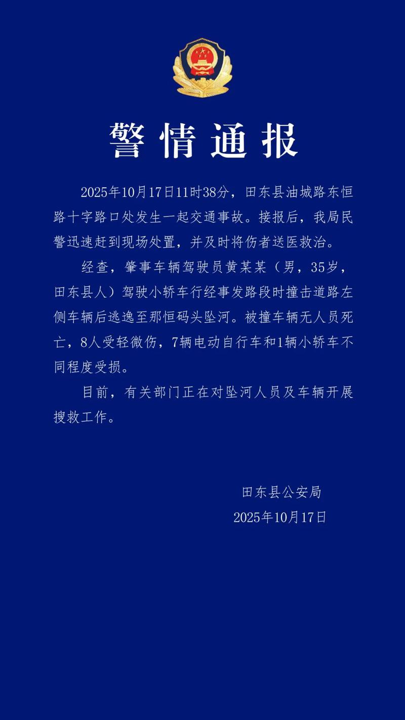 图自“田东公安”微信公众号 图自“田东公安”微信公众号