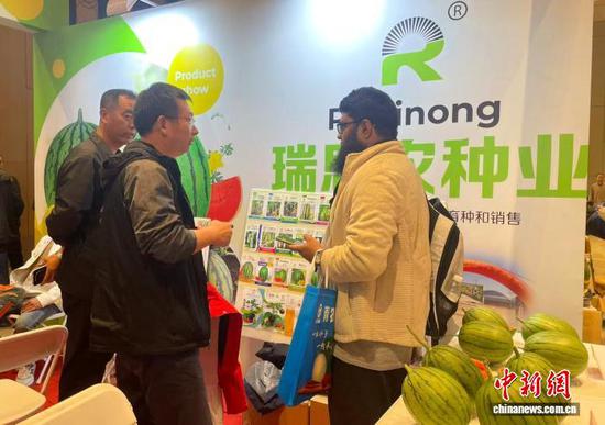 图为2025天津国际种业博览会现场。江莹 摄