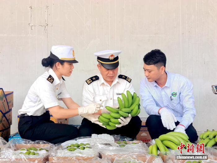 广西香蕉实现自主品牌首次出口