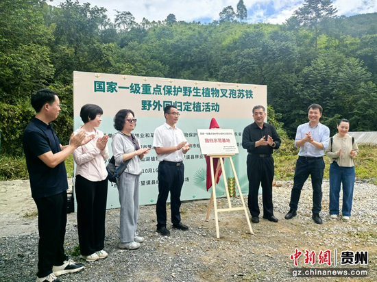 “叉孢苏铁回归示范基地”揭牌仪式现场。