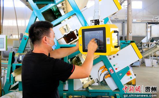 智能化、数字化茶叶加工车间。饶云 摄 智能化、数字化茶叶加工车间。饶云 摄