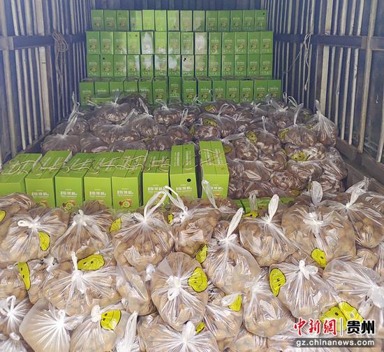 满载永胜村猕猴桃的货车。习水县融媒体中心供图