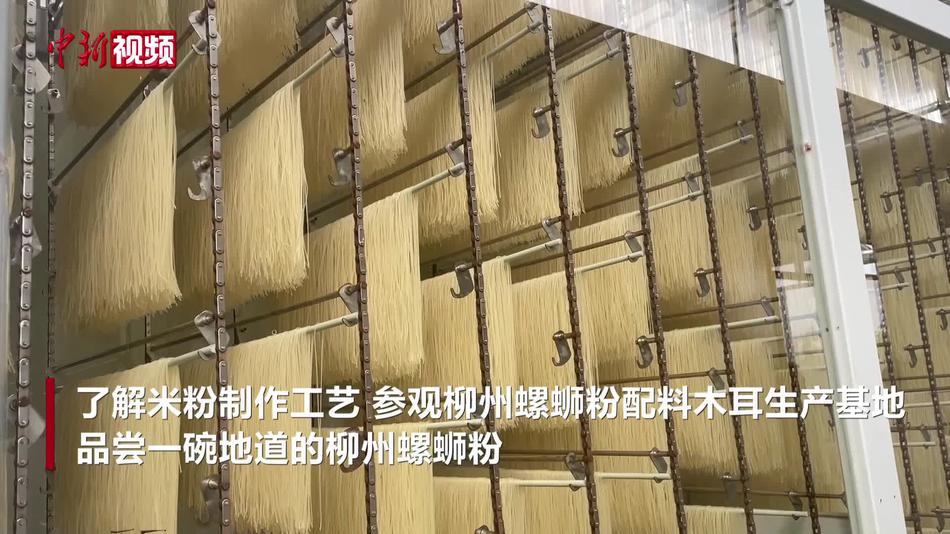 印尼留学生走进广西柳州市螺蛳粉产业基地 了解一碗粉技艺