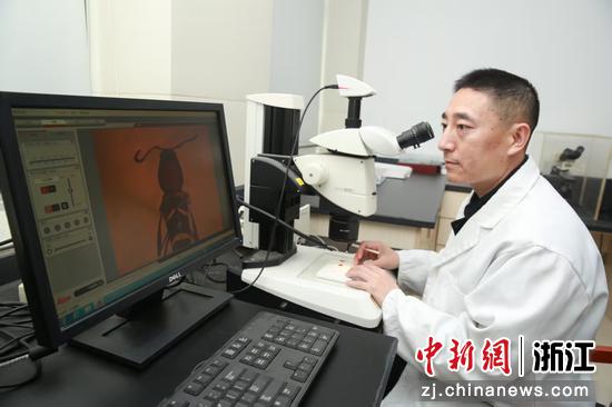 嘉兴海关使用智能监管设备对物品进行检测。嘉兴海关供图