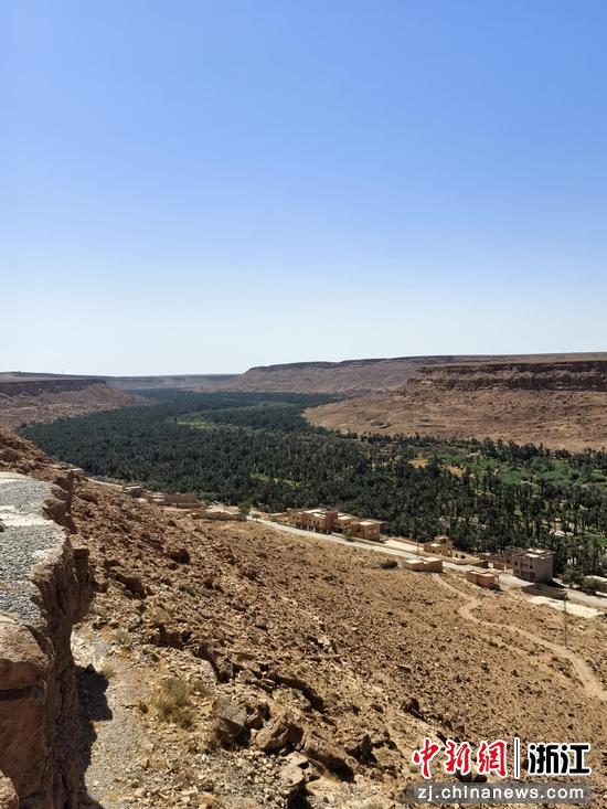 椰枣林填满蜿蜒的河谷 作者供图 椰枣林填满蜿蜒的河谷 作者供图