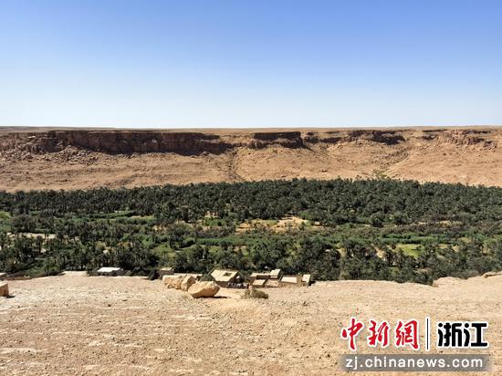 沙漠与绿洲的交界处,一棵棵椰枣树是最动人的风景 作者供图 沙漠与绿洲的交界处,一棵棵椰枣树是最动人的风景 作者供图