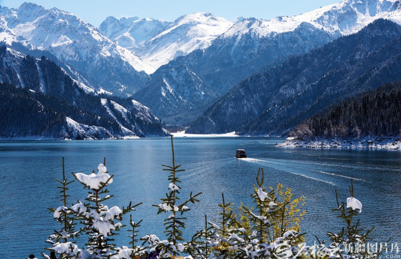 云杉傲雪,瑶池扬波,天山天池美不胜收。孙国富摄
 云杉傲雪,瑶池扬波,天山天池美不胜收。孙国富摄