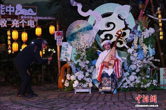 10月24日晚，诗意田园·茗香伴韵中的琵琶演奏吸引市民。 记者 瞿宏伦 摄