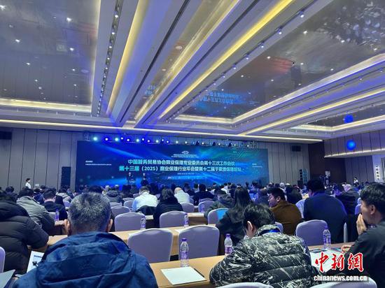 图为活动现场。记者 王君妍 摄 图为活动现场。记者 王君妍 摄