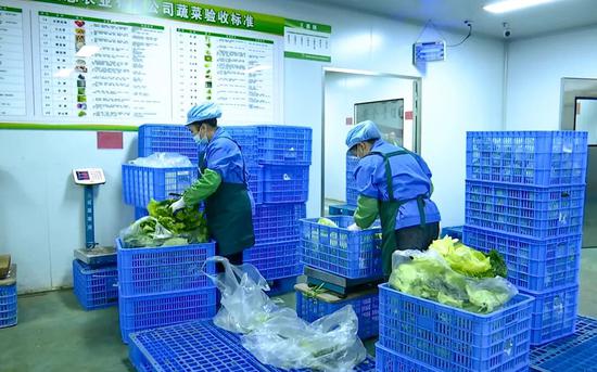 凤冈县凤锦生态农业有限公司食品处理中心。（张燕  摄）