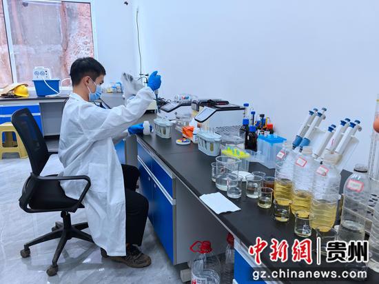 工作人员正对处理水样进行各项指标检测 工作人员正对处理水样进行各项指标检测