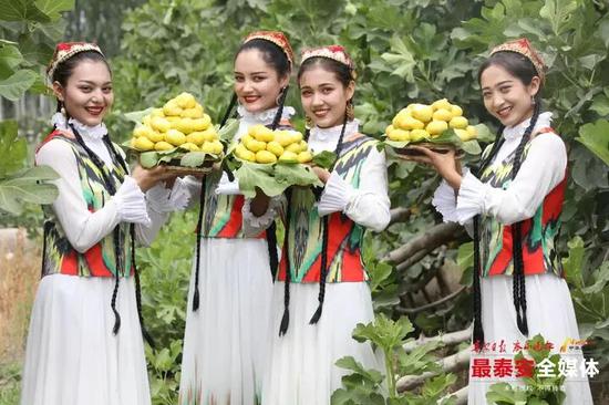 无花果采摘园的喜悦。