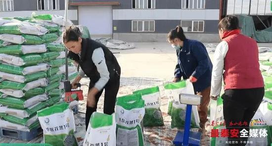 新岳孜然1号加工打包准备装车销售。