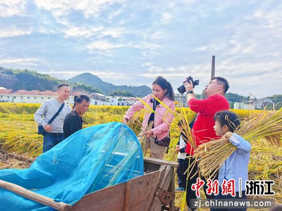 努兰体验稻穗脱粒。周心远 摄