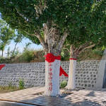 小白杨哨所感人的故事背后，是一位母亲“清澈的爱”