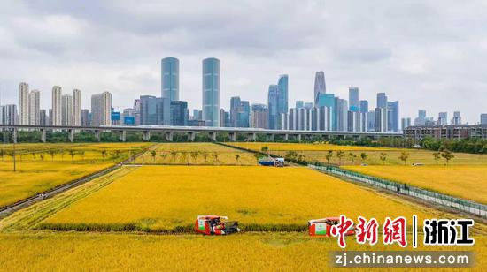 杭州钱江世纪城。钱江世纪城供图 杭州钱江世纪城。钱江世纪城供图