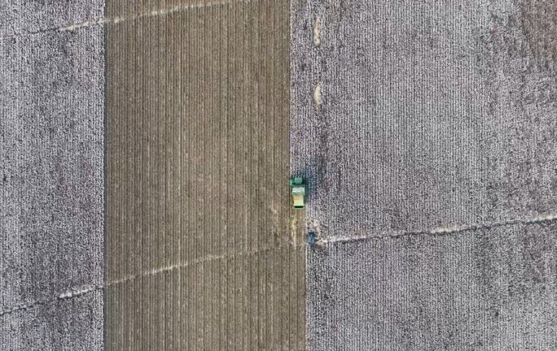 昌吉州近300万亩棉花基本收完 预计籽棉总产量145万吨