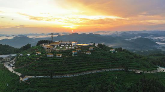 凤冈县柏梓顶民宿。安应  摄 凤冈县柏梓顶民宿。安应  摄