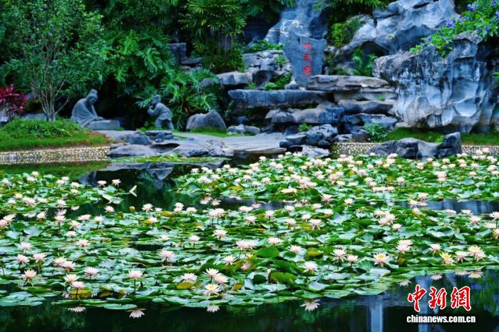 南宁青秀山举办金秋登高节 主题线路串联山水引客